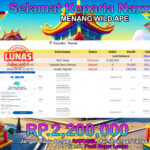 BUKTI JACKPOT SLOT WILD APE  TERPERCAYA DI INDONESIA TGL 21-08-2024